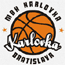 https://img.deyingmei.com/img/basketball/team/0c2f73d2ab7041cf90029a20deff7f17.gif