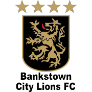 https://img.deyingmei.com/img/football/team/3611895b1d993768346b422472166483.png